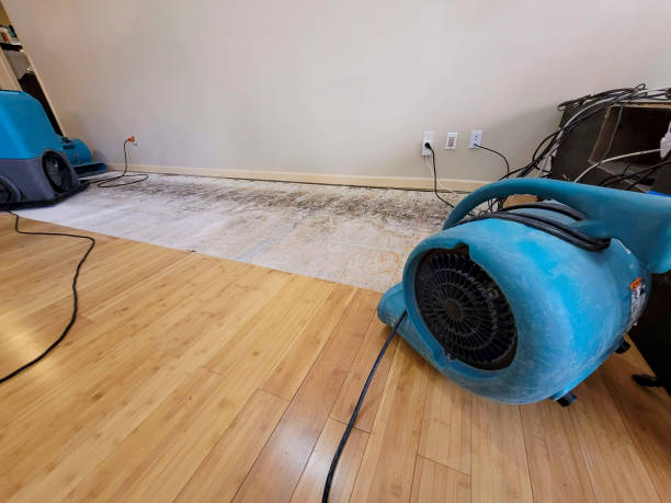 Professional Structural Drying technician working in Smyrna, NC